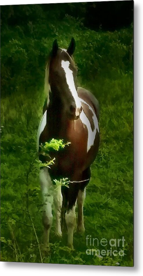 Horse Metal Print featuring the photograph No Name Horse by Dani McEvoy