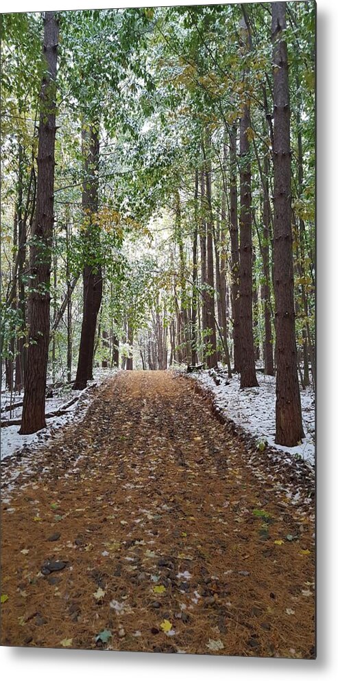 Forest Metal Print featuring the photograph Shh by Dani McEvoy