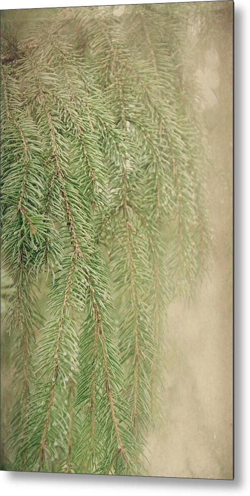 Pine Needles Metal Print featuring the photograph Smell The Pine by Angie Tirado