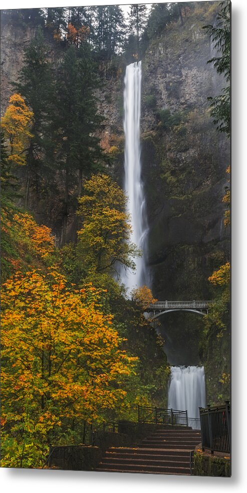 Loree Johnson Photography Metal Print featuring the photograph Step up to Multnomah by Loree Johnson