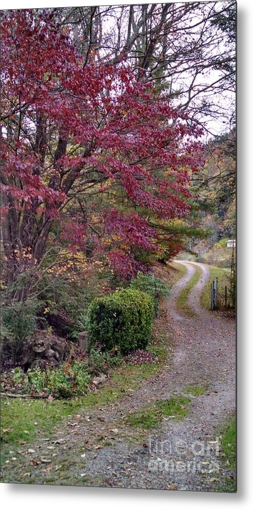 Pathway Metal Print featuring the photograph Take the Good Path by Allen Nice-Webb