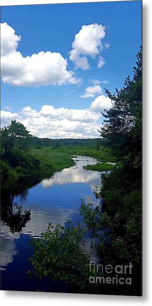 Reflections Metal Print featuring the photograph Water and Woods in Warren by Dani McEvoy