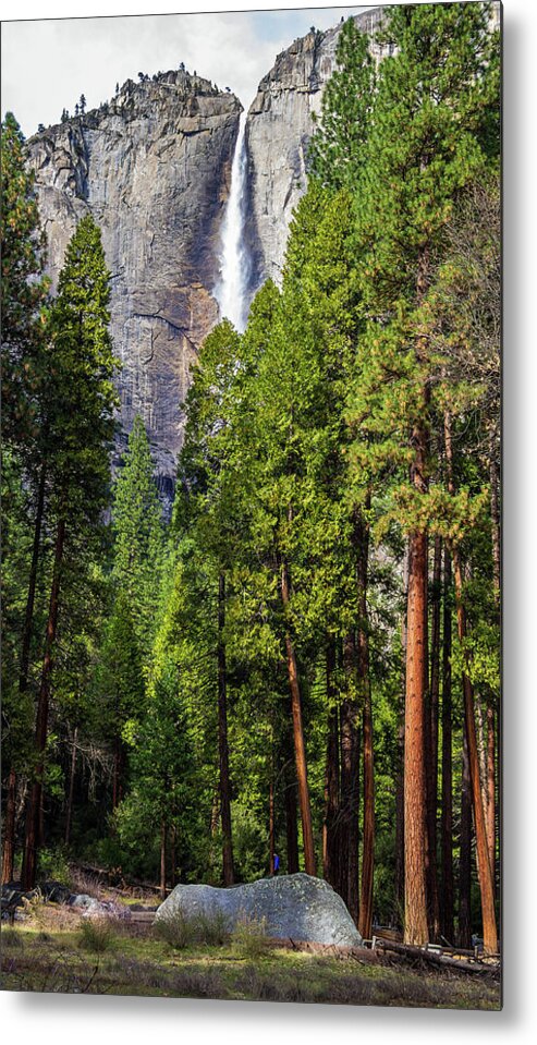 California Metal Print featuring the photograph Yosemite Falls with pine trees by Roslyn Wilkins