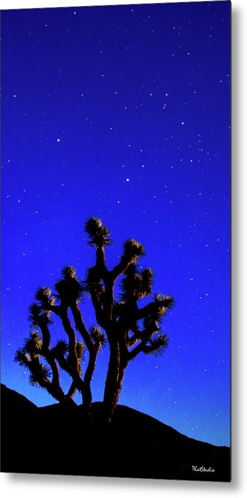 2016 Metal Print featuring the photograph Joshua tree Under the Stars by Tim Kathka