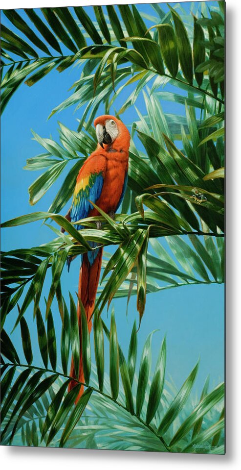 Macaw Metal Print featuring the photograph Scarlet Macaw 1 by Michael Jackson