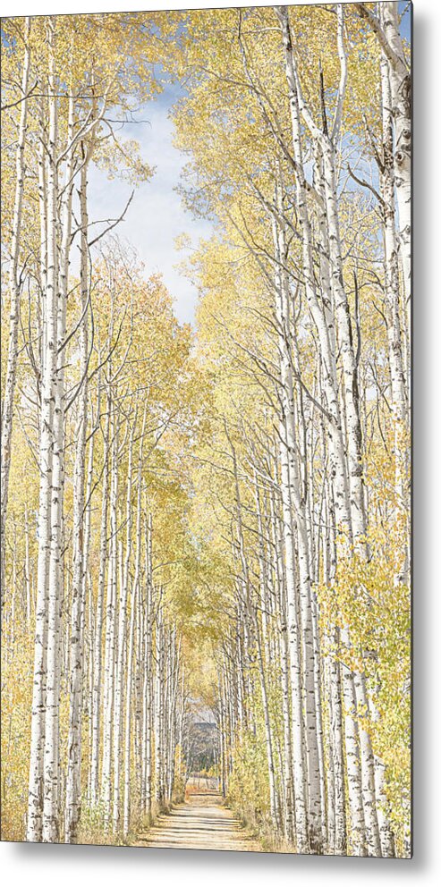 Fall Metal Print featuring the photograph The Long Road by Jennifer Grossnickle