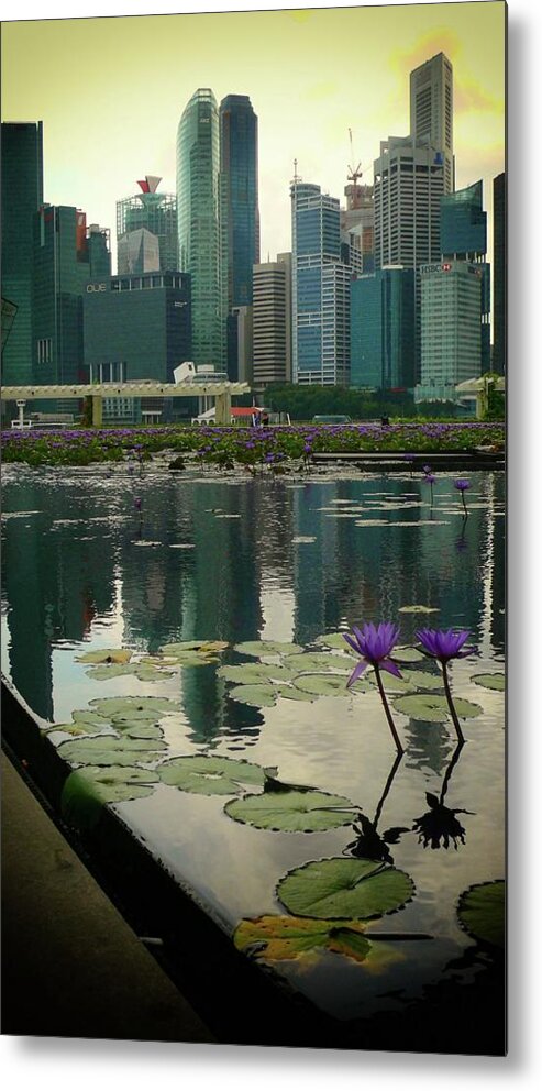 Nature Metal Print featuring the photograph Nature in Singapore #1 by Robert Bociaga