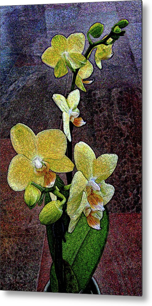 Orchids Metal Print featuring the photograph Autumn Orchids by Corinne Carroll