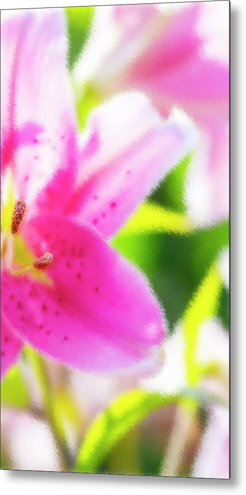 Lilly Metal Print featuring the photograph Lilly 1 by Kathy Paynter