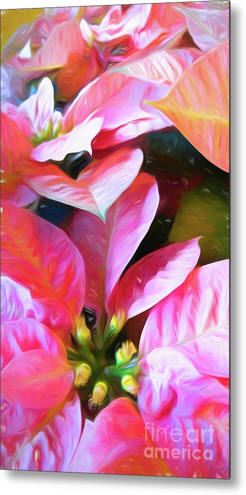 Christmas Tradition Metal Print featuring the digital art Pink Poinsettia with a touch of yellow by Amy Dundon