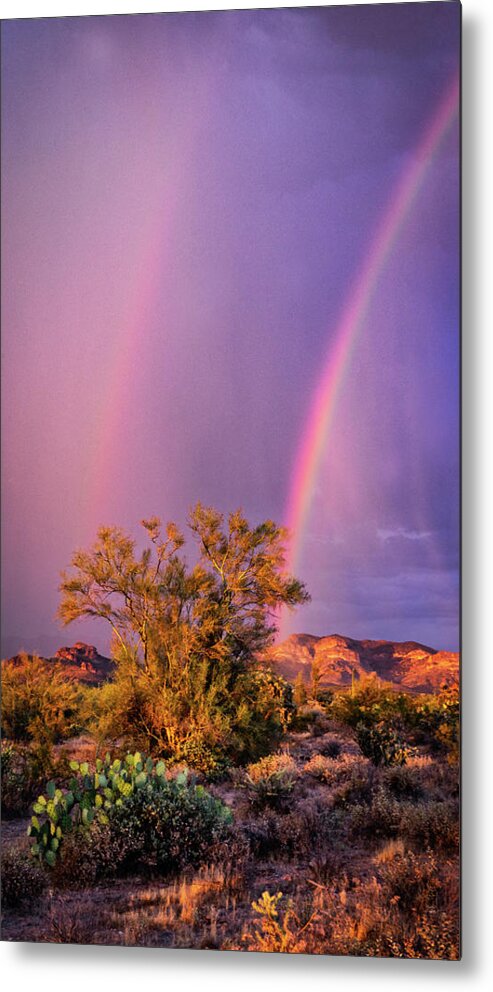 Arizona Metal Print featuring the photograph Purple Skies And Rainbows by Saija Lehtonen
