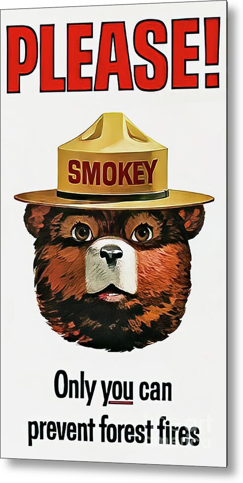 Smokey Metal Print featuring the drawing Smokey the Bear Fire Prevention by M G Whittingham