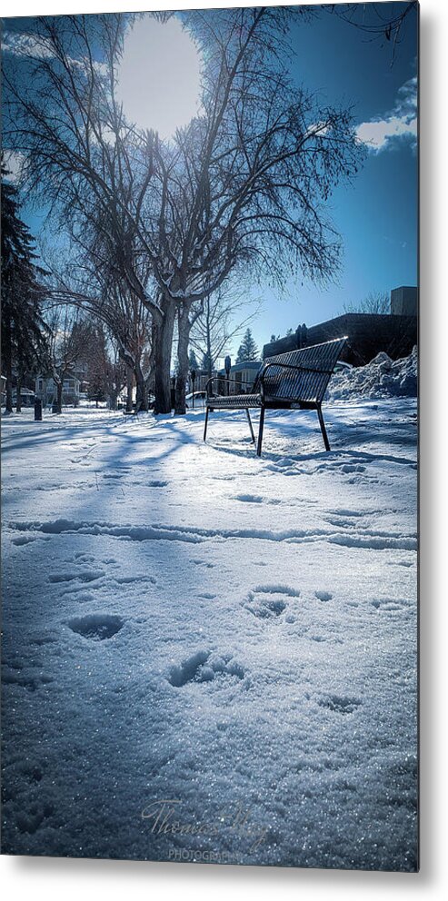 Snow Metal Print featuring the photograph Wintertime is the park by Thomas Nay