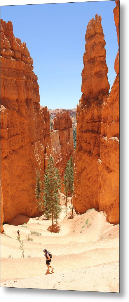 Southwest Metal Print featuring the photograph A Long Way to the Top by Mike McGlothlen