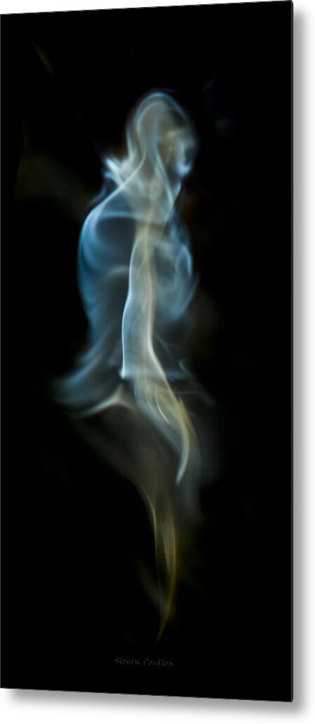 Ignition Metal Print featuring the photograph Bipedal by Steven Poulton