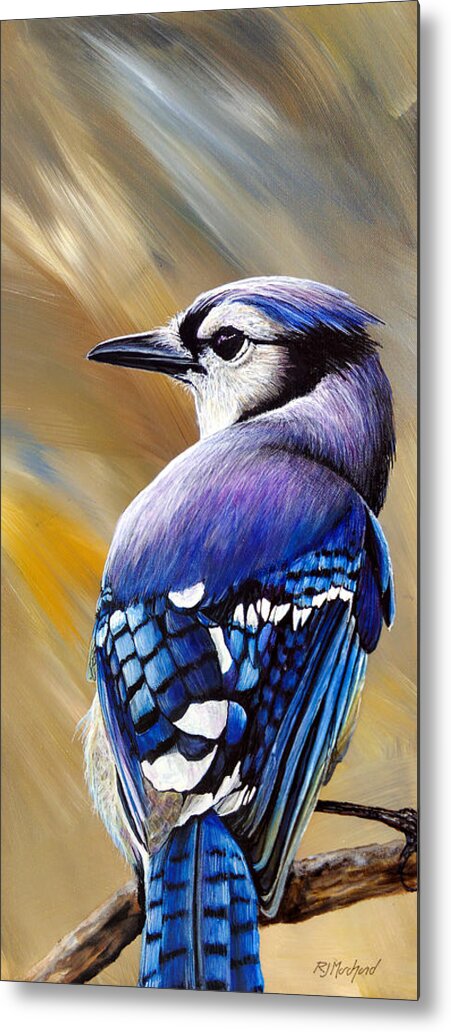 Blue Jay Metal Print featuring the painting All Joking Aside by R J Marchand