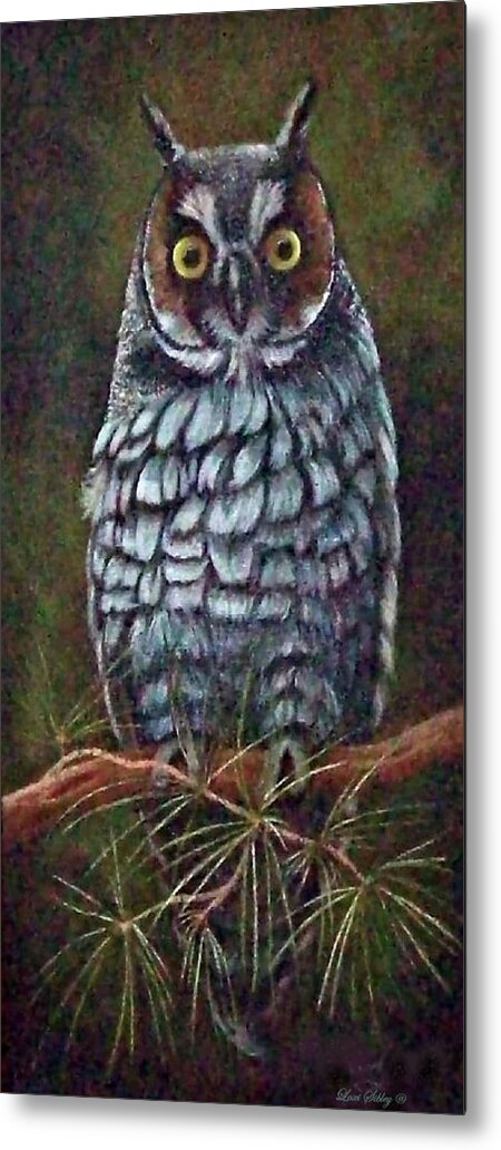 Birds Metal Print featuring the painting Owl, out on a limb by Loxi Sibley