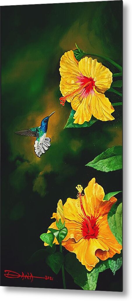 Birds Metal Print featuring the painting White Necked Jacobin and Yellow Hibiscus by Dana Newman