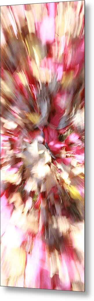 Floral Metal Print featuring the photograph Floral explosion No1 by David Coblitz