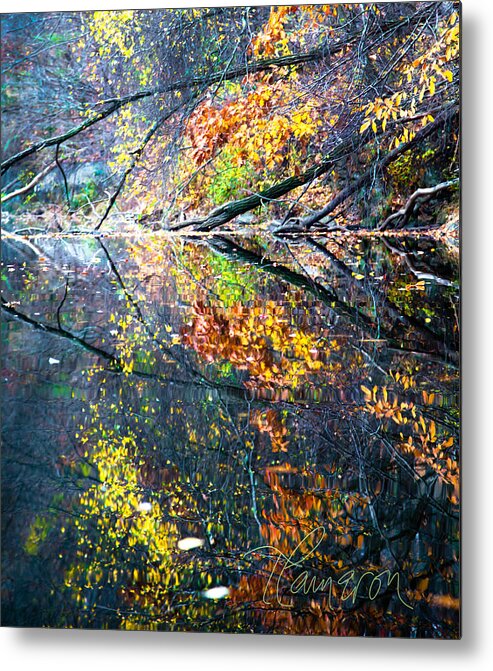 Armington River Metal Print featuring the photograph They Wink at Me #1 by Tom Cameron