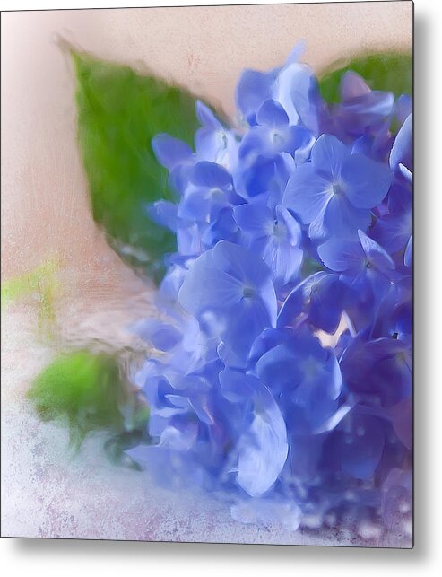 Flower Metal Print featuring the photograph Hydrangea #2 by Anna Rumiantseva