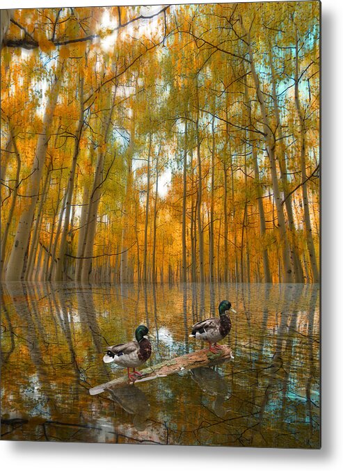 Ducks Metal Print featuring the photograph 2549 by Peter Holme III