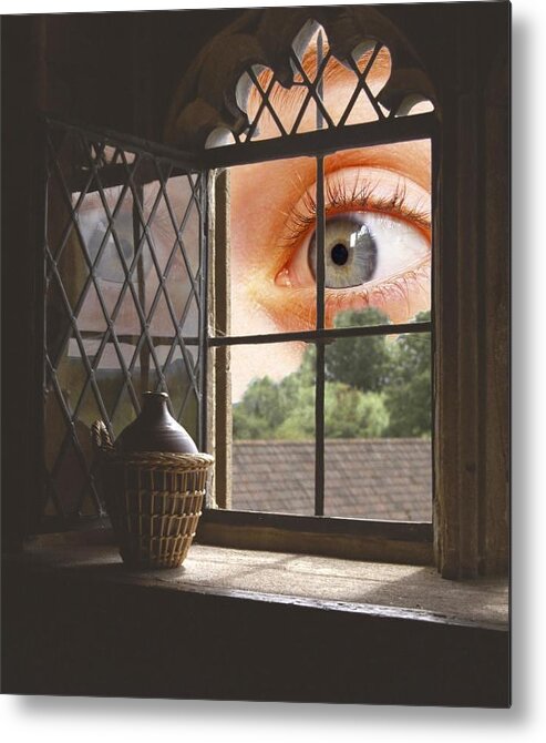 Eye Metal Print featuring the photograph All seeing by Ron Harpham