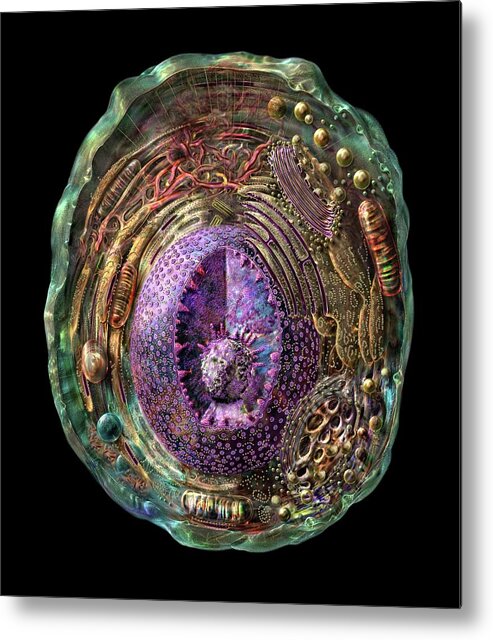 Anatomical Metal Print featuring the photograph Animal Cell by Russell Kightley/science Photo Library