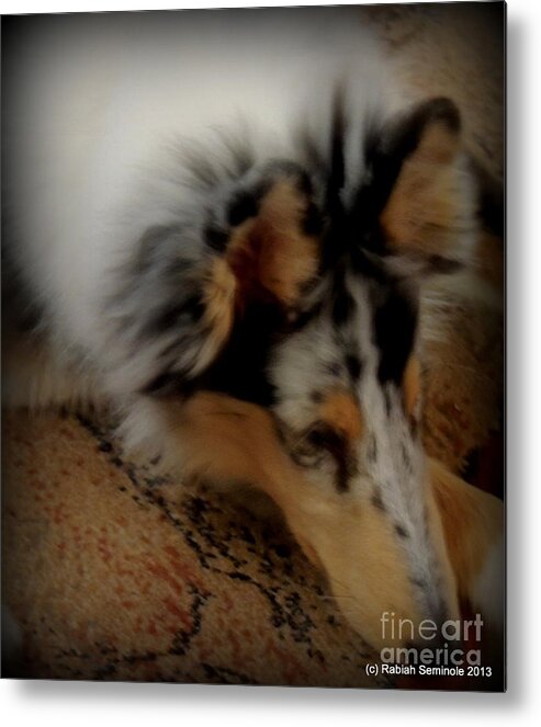 Resting Puppy Metal Print featuring the photograph Aww by Rabiah Seminole