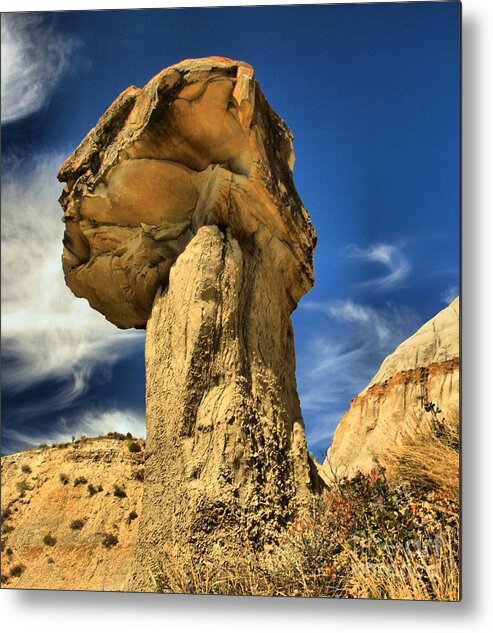 Theodore Roosevelt National Park Metal Print featuring the photograph Balanced by Adam Jewell