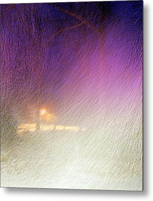 Blizzard Metal Print featuring the photograph Blizzard by Pamela Hyde Wilson