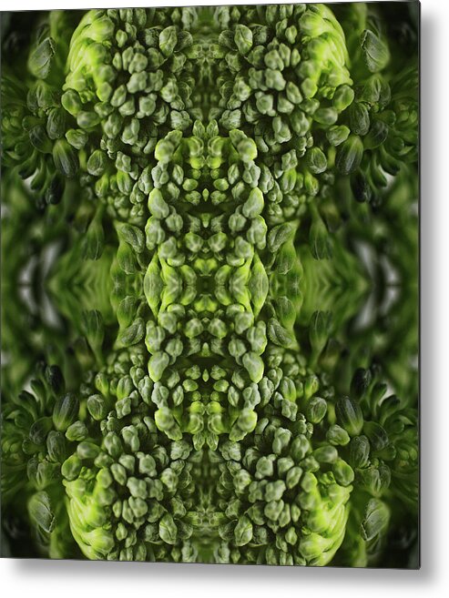 Broccoli Metal Print featuring the photograph Broccoli Flower Buds by Silvia Otte