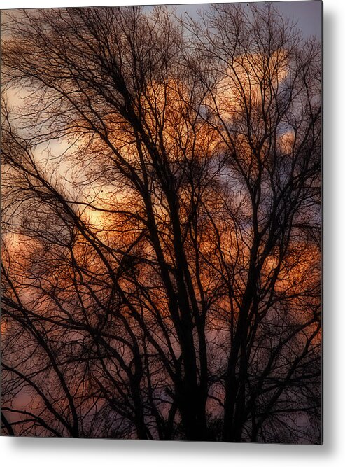Tree Metal Print featuring the photograph Darkness Falls by Mark Alder