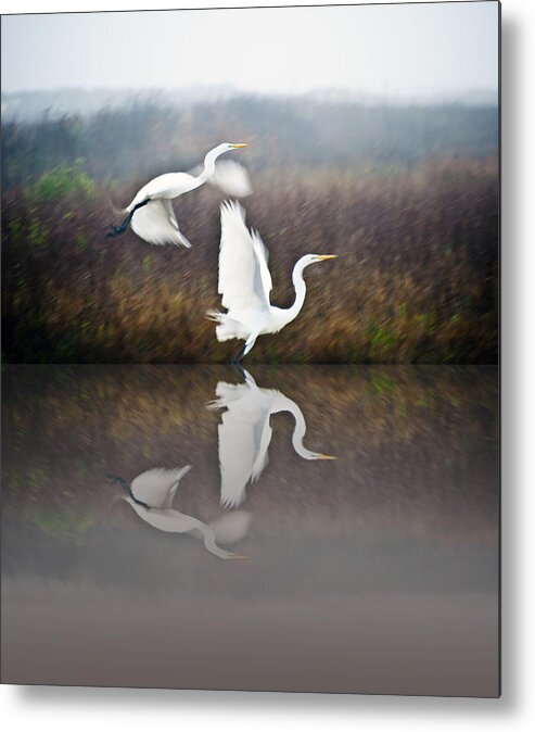 Egrets Metal Print featuring the photograph Egrets in the Fog by John Collins