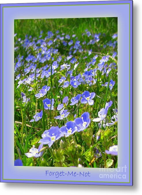 Forget Metal Print featuring the photograph Forget Me Not by Leone Lund