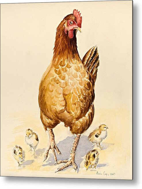 Chicken Metal Print featuring the George's Hen and her Chicks by Alison Cooper
