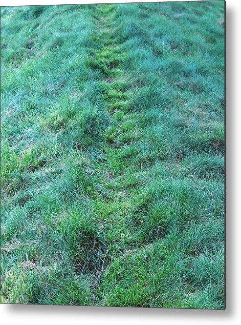 Green Metal Print featuring the photograph Green grass pathway. by Oscar Williams