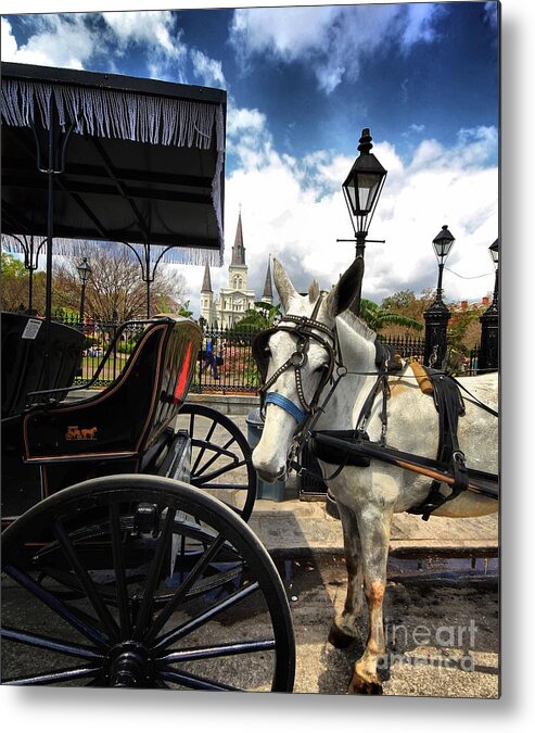 Horses Metal Print featuring the photograph I told em cart BEFORE by Robert McCubbin