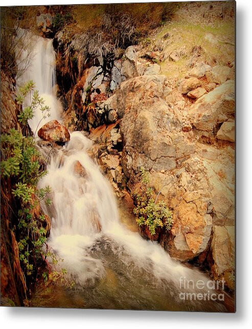 Waterfall Metal Print featuring the photograph Lake Shasta waterfall 2 by Garnett Jaeger
