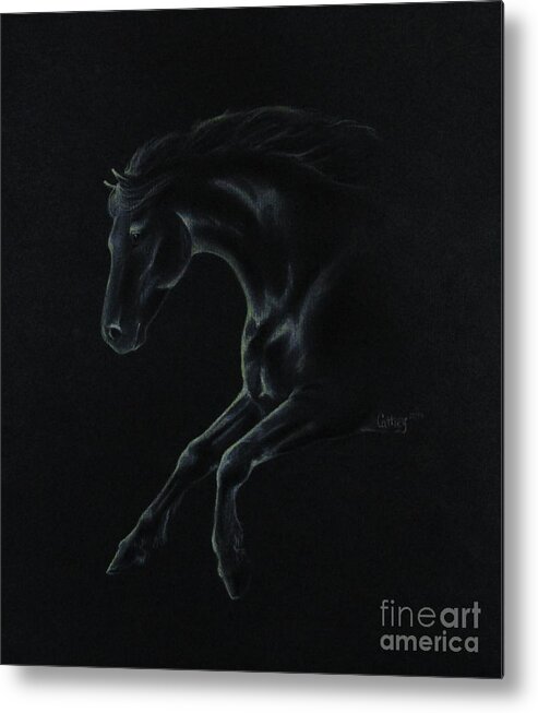 Horse Metal Print featuring the drawing Midnight Run by Catherine Howley