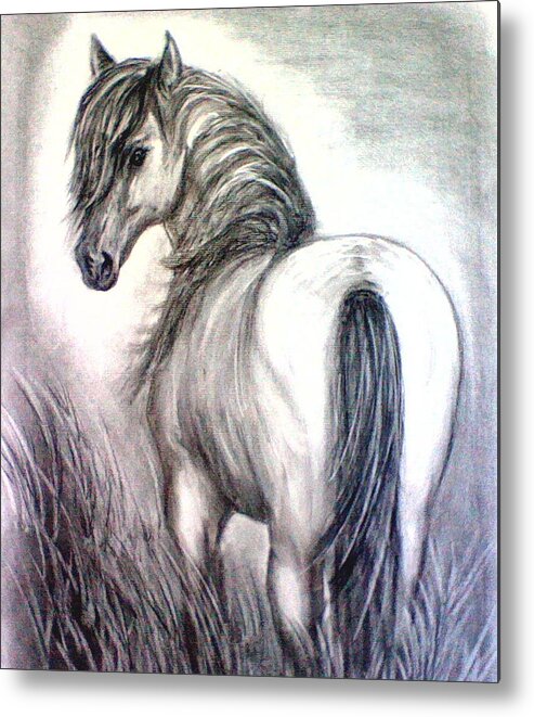 Horse Metal Print featuring the drawing Mustang by J L Zarek