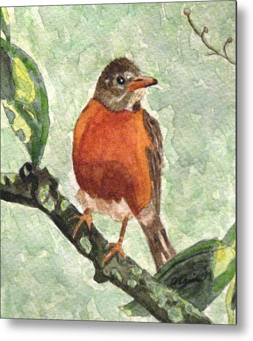 Robin Metal Print featuring the painting North American Robin by Angela Davies