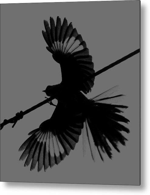 Mockingbird Metal Print featuring the photograph Northern Mockingbird by Leticia Latocki