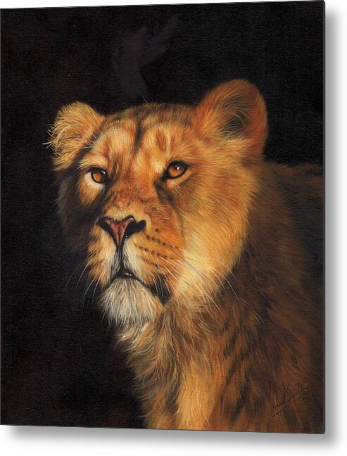 Lion Metal Print featuring the painting Portrait of a Lioness by David Stribbling