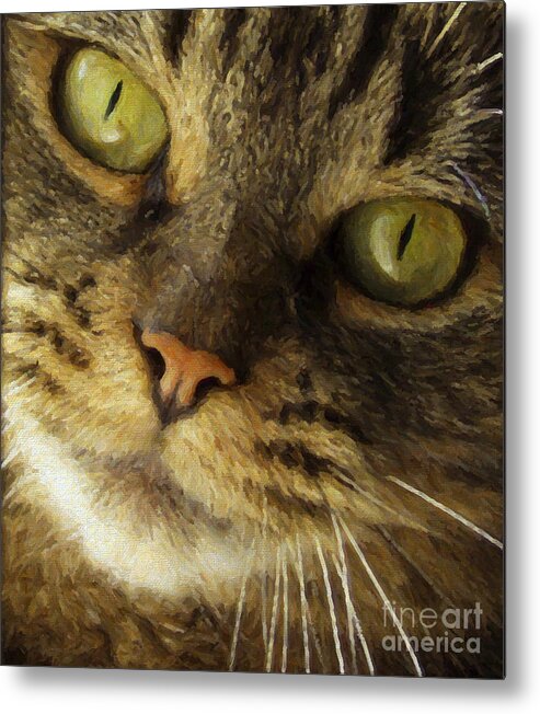 Cat Metal Print featuring the photograph Pretty Cat Face by Diane Diederich
