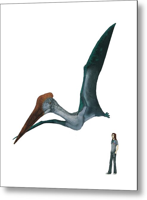 Animal Metal Print featuring the photograph Pterosaur by Mark P. Witton/science Photo Library