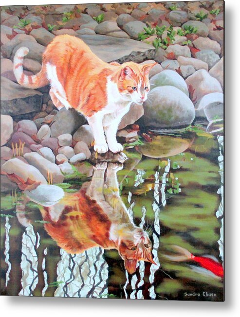 Cat Metal Print featuring the painting Reflecting by Sandra Chase