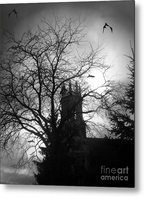 Architecture Metal Print featuring the photograph Release the bats by Heather King