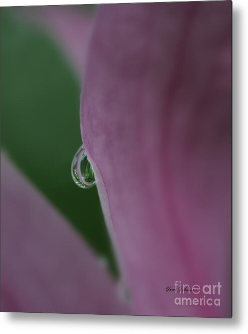 Droplets Metal Print featuring the photograph Single Curved Line by Yumi Johnson