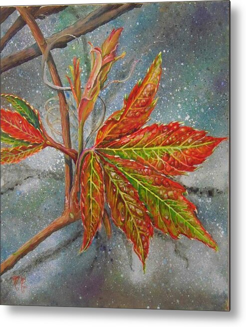 Shenandoah Metal Print featuring the painting Spring Virginia Creeper by Nicole Angell